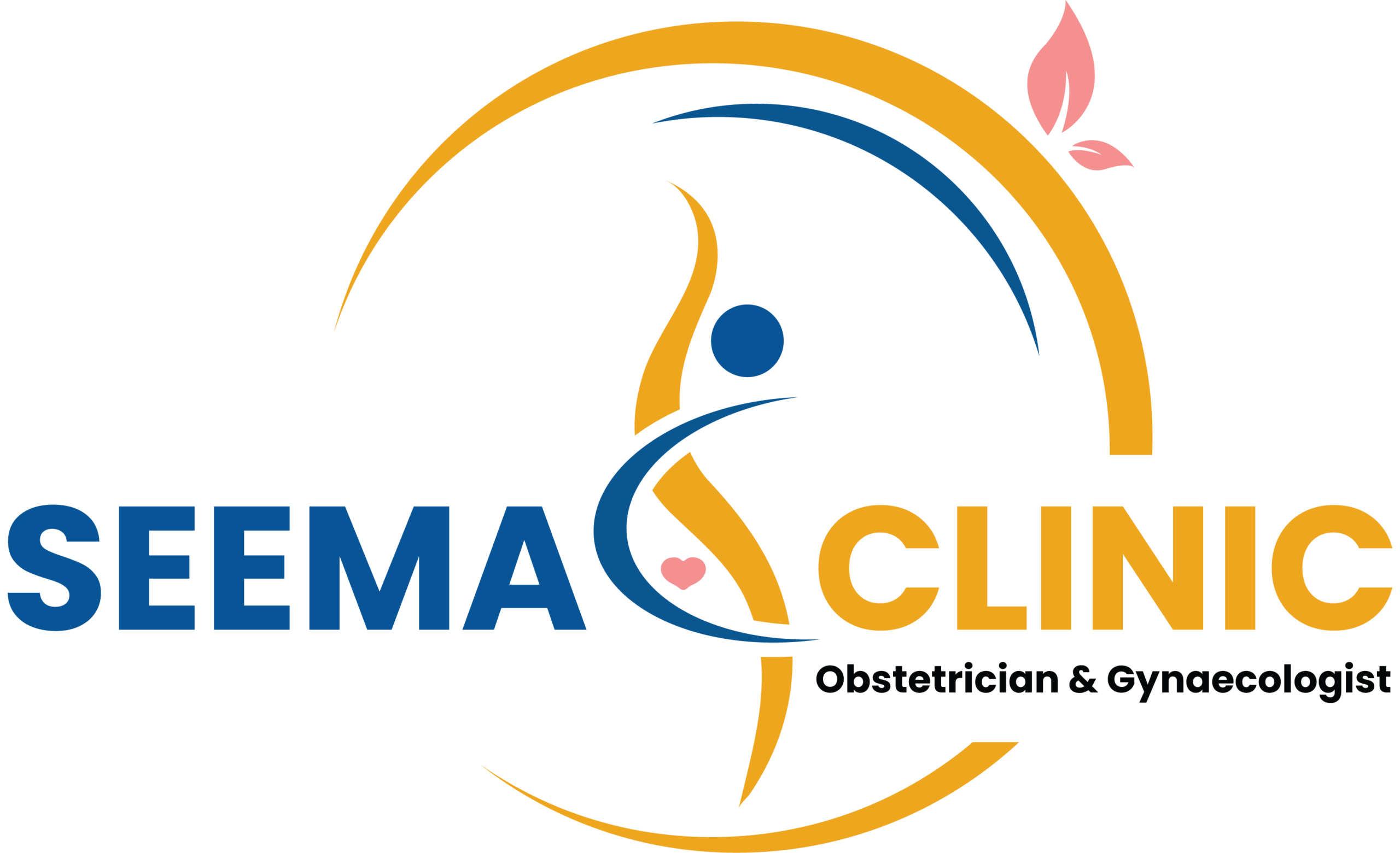 Dr Seema
